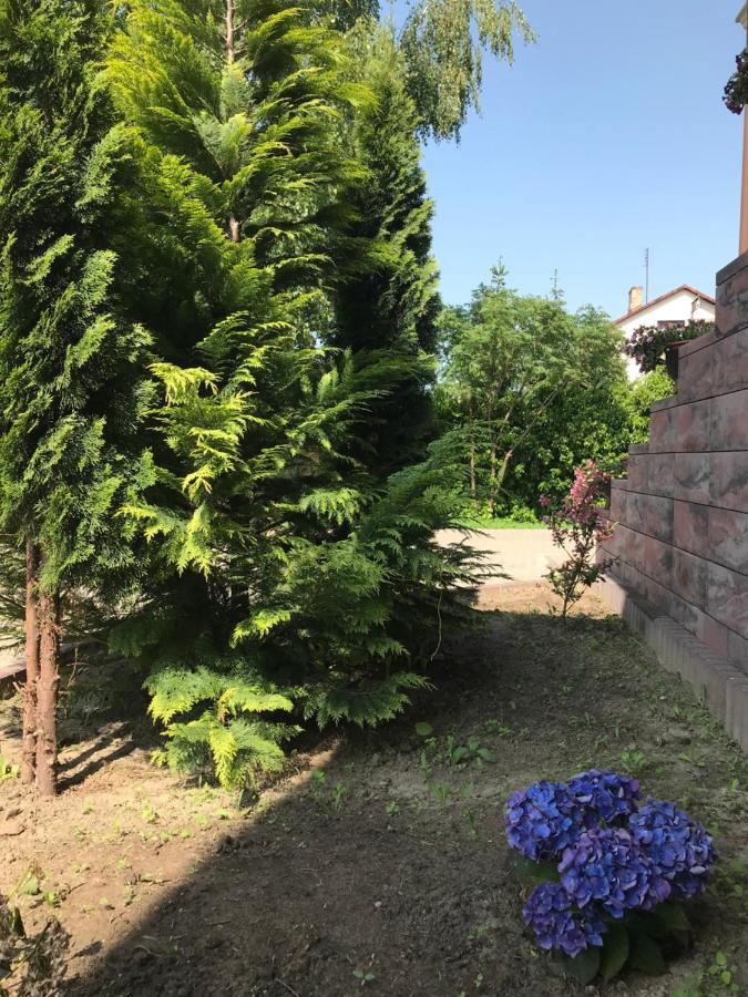 Noclegi Viva Mszczonow Luaran gambar